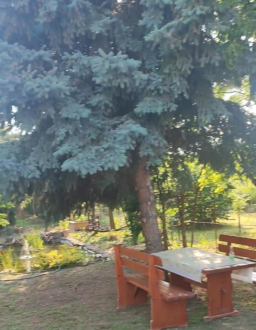 Apartmán Norbi Vendeghaz Balatonszarszo Exteriér fotografie
